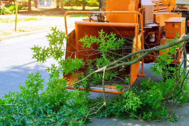 Lawn Watering Services in Sac City, IA